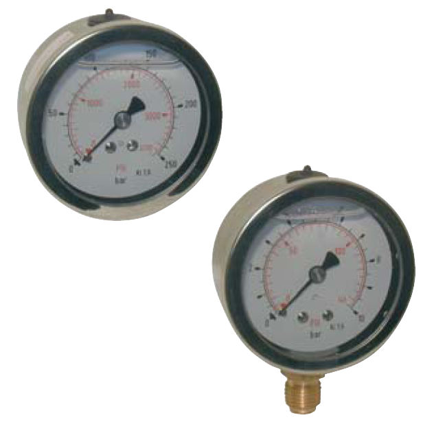 Pressure gauge / Bourdon tube / dial / process - RITM Industry